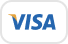 Visa icon